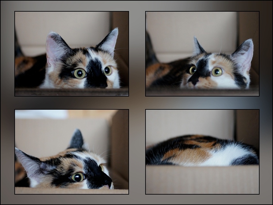 Achtung, jetzt kommt ein Karton ;)