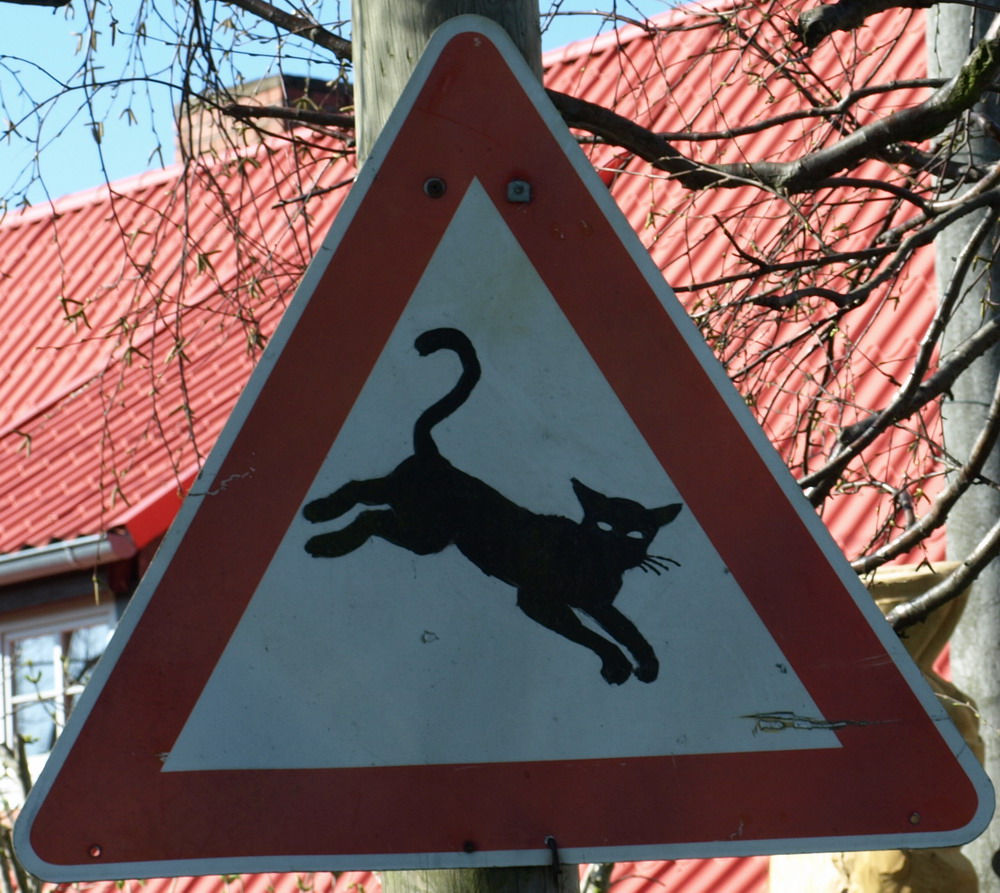 Achtung Katzen :-)