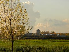 Achtung! Mitten durch das NSG Urdenbacher Kämpe soll eine Autobahn gebaut werden!. . .