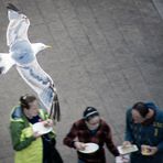 Achtung, Möwe im Anflug!