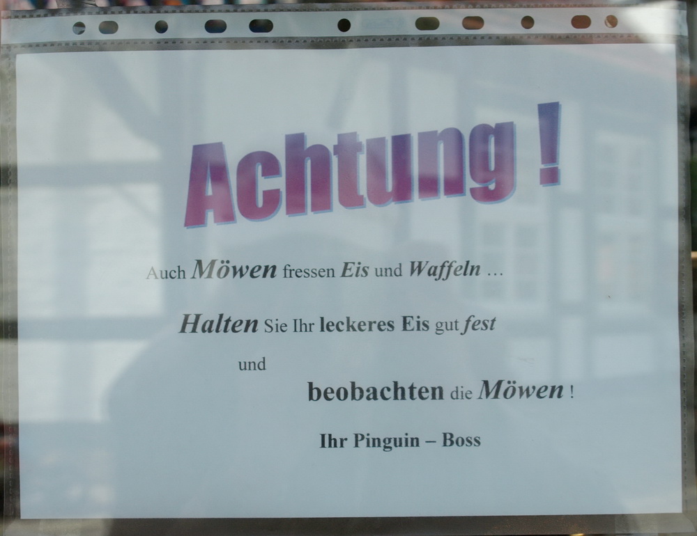 Achtung Möwen