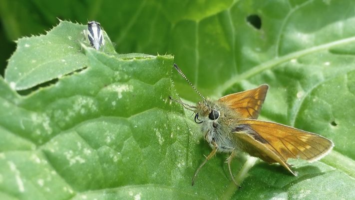 Achtung oben rechts.....?