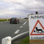 Achtung, Schnapsleichen !