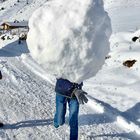 Achtung Schneeball!!!!