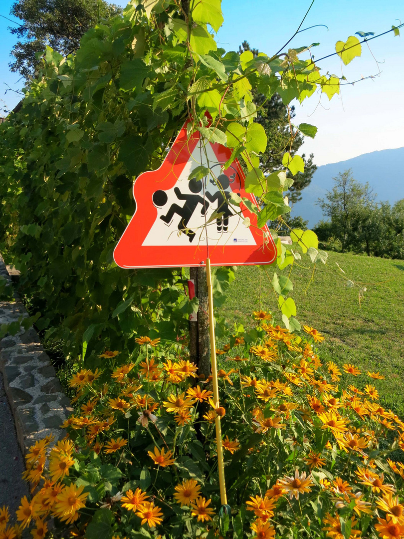 Achtung: Spielende Kinder!