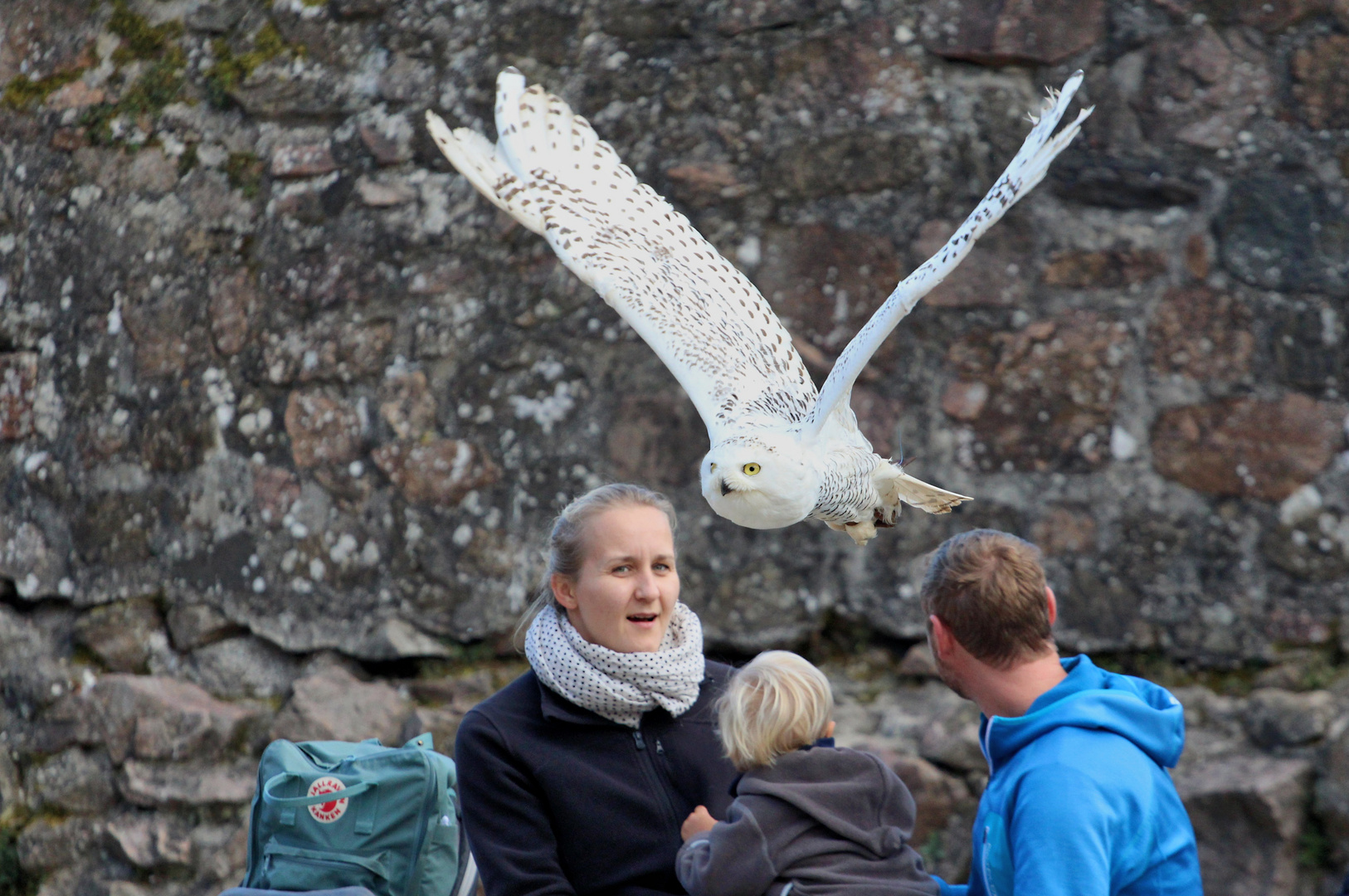 Achtung, Tieffflug !