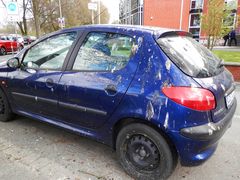 Achtung: Vogelschiss!! Direkt unter einem Baum sollte man nicht länger parken!