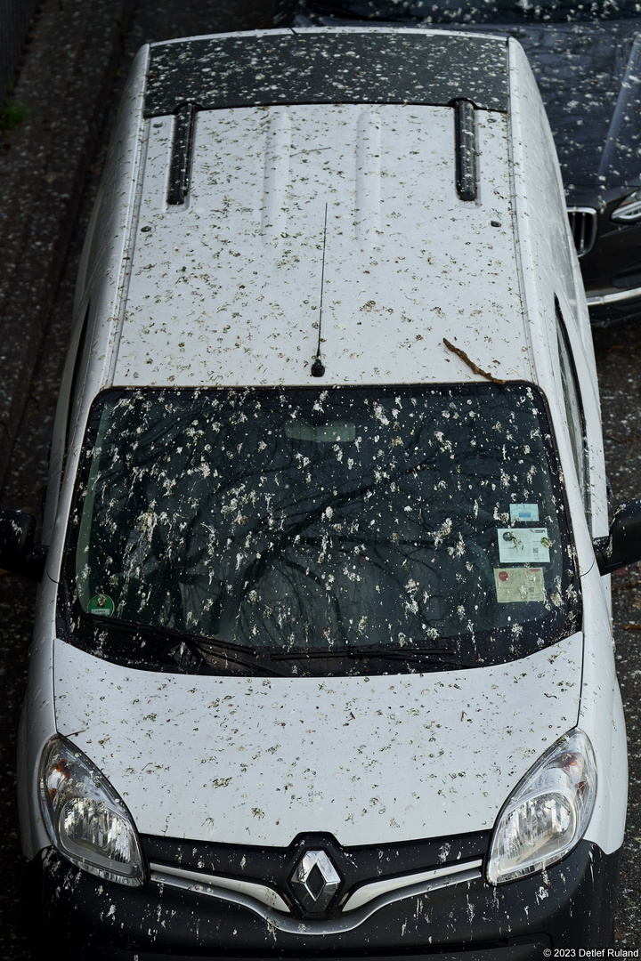 Achtung wo man parkt in Köln