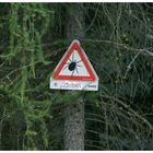 Achtung!  Zicken im Wald