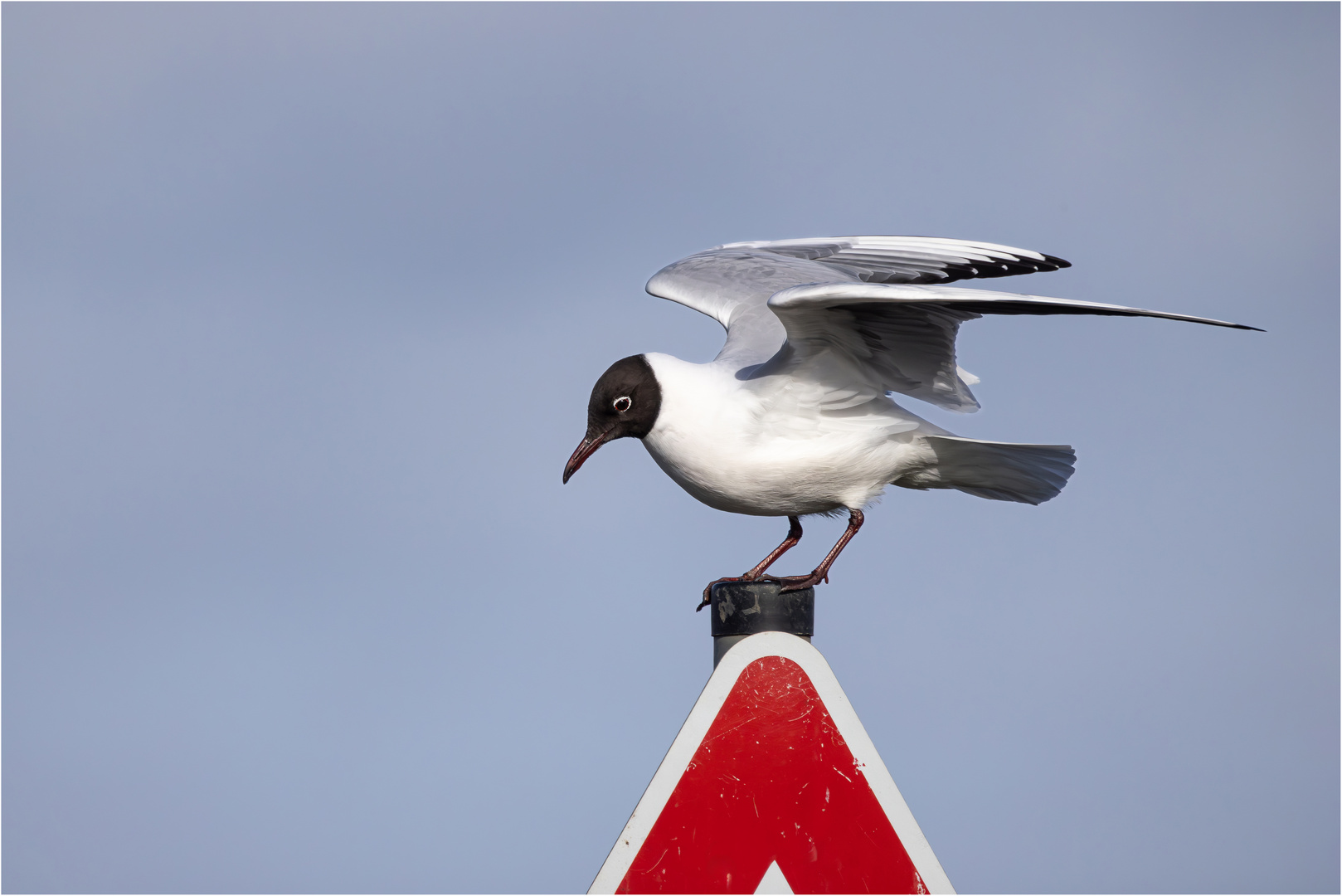 Achtung.....Abflug