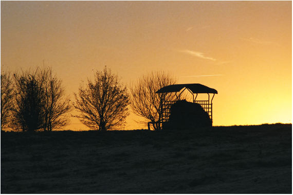 Acker am Sankelmarker See bei Sonnenaufgang