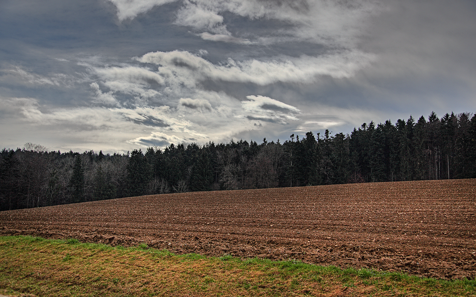 Acker am Waldrand HDR