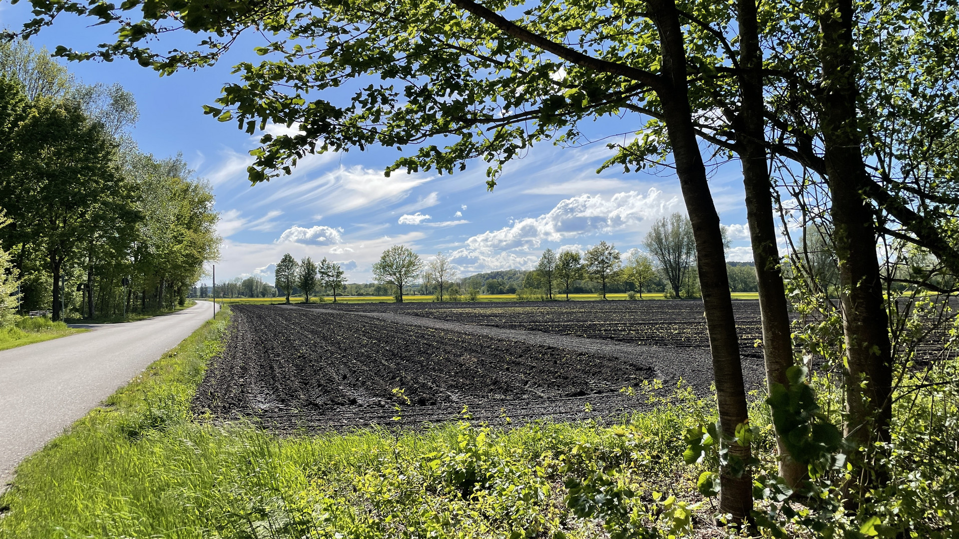 Acker an Neufahrner Mühlseen