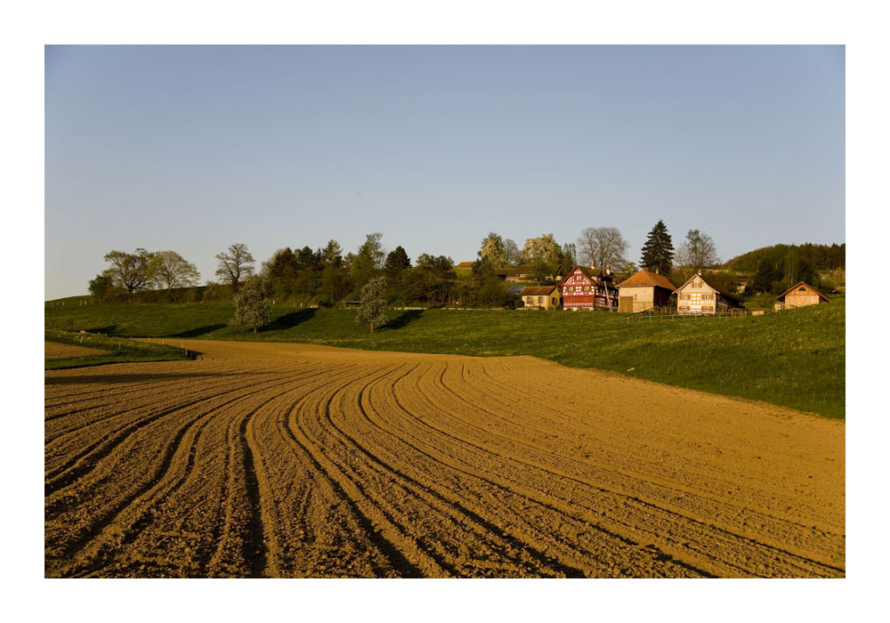 Acker im Abendlicht