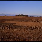 Acker im Herbst