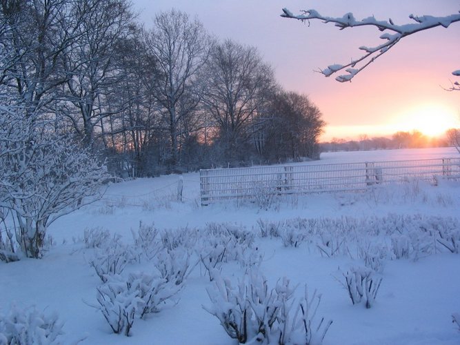 Acker im Schnee