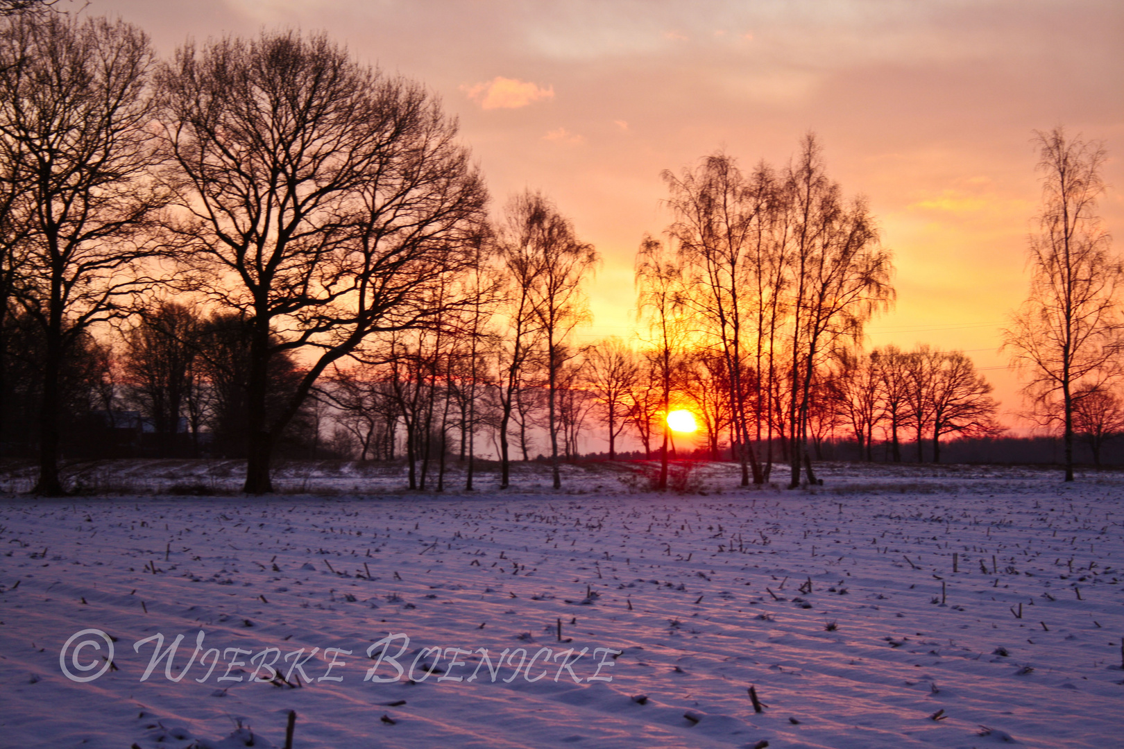 Acker im Winter