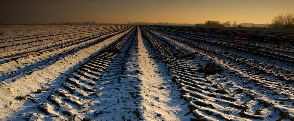 Acker in Bosse Winter