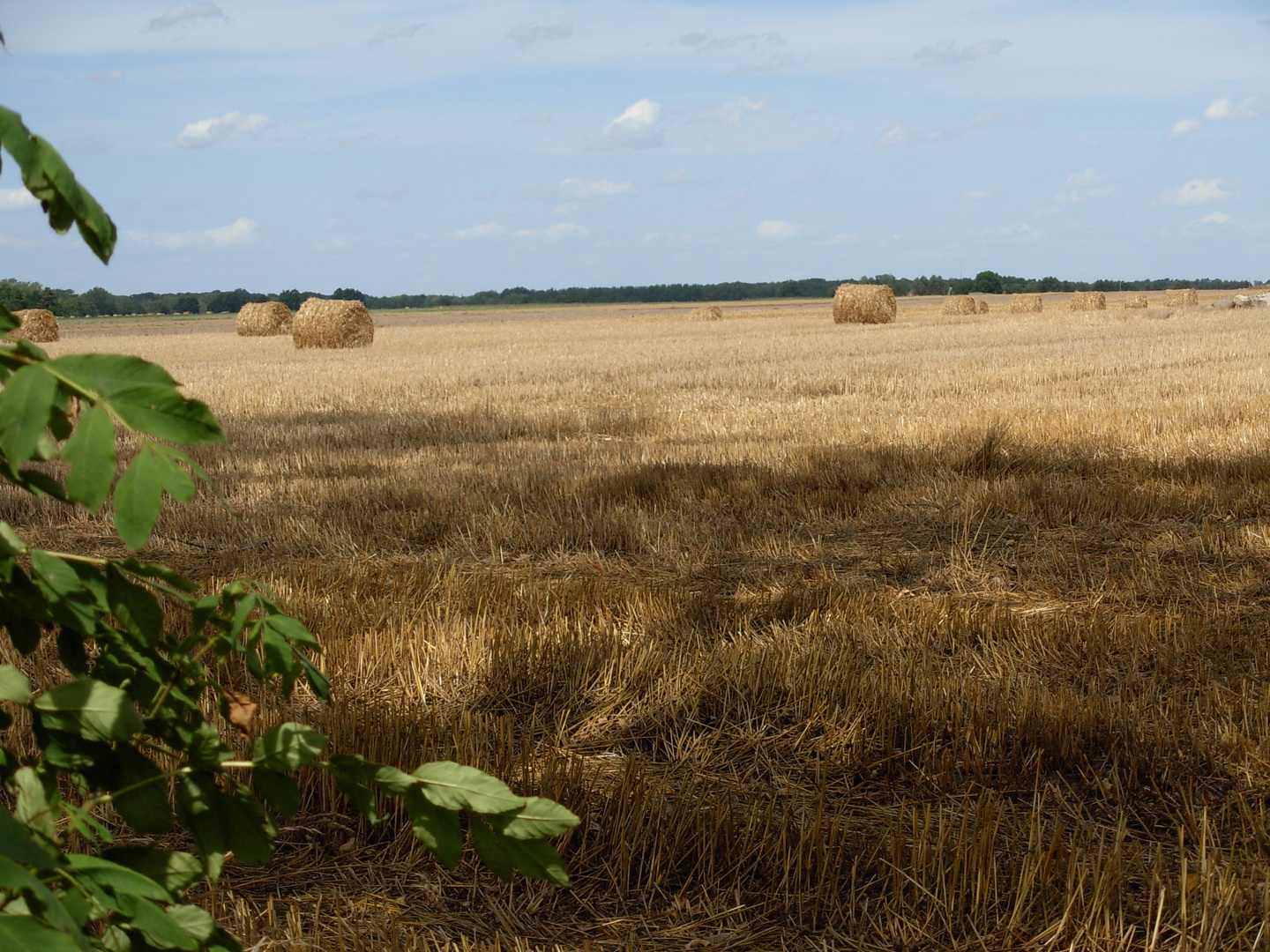 acker in polen