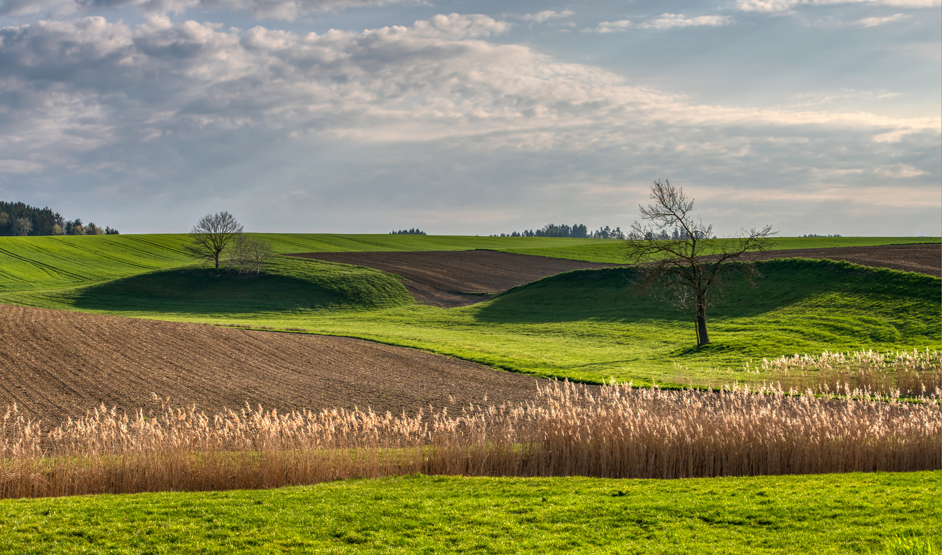 Acker - Landschaft