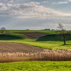 Acker - Landschaft