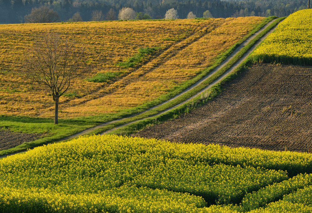 Acker Landschaft