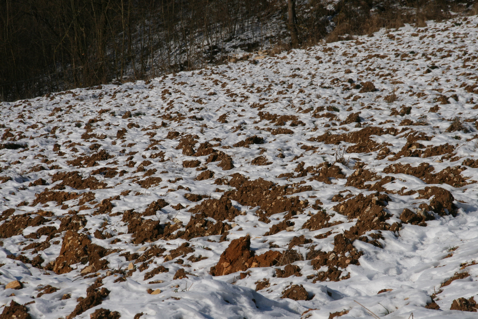 Acker mit ein bischen Schnee