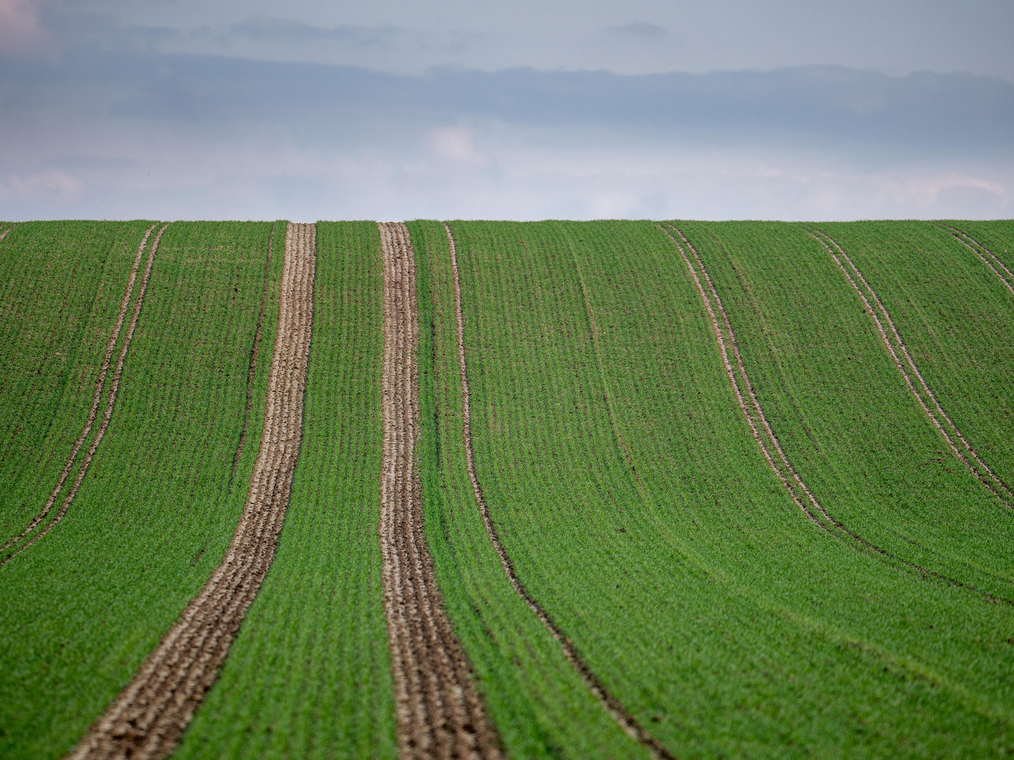 Acker mit Horizont