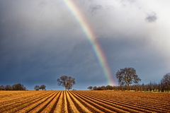 Acker mit Regenbogen - 2