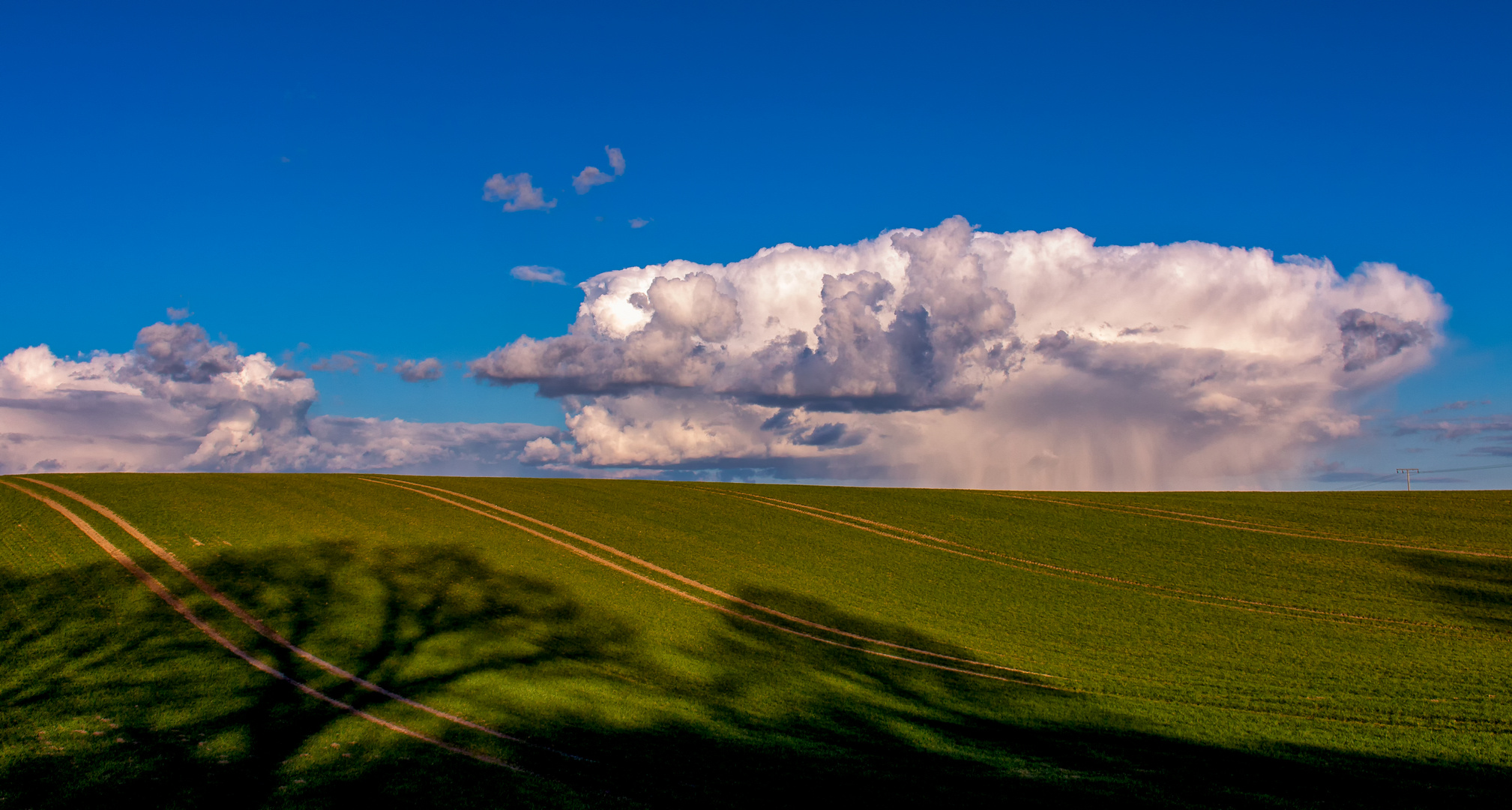 Ackerfläche bei Keez (Mecklenburg)