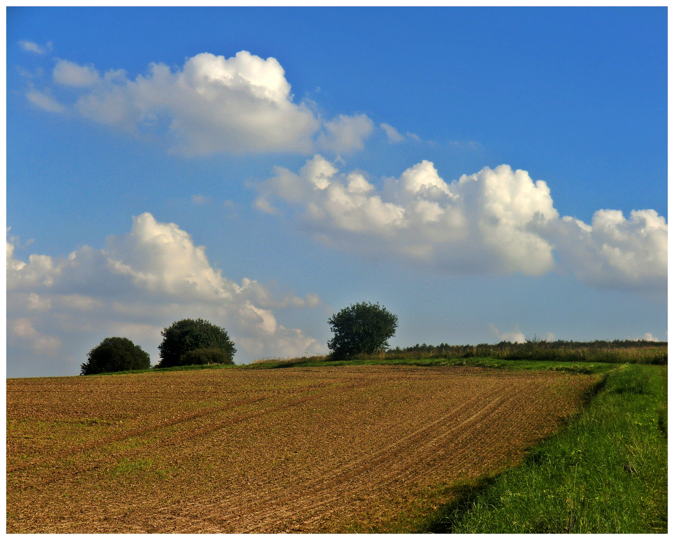Ackerland Foto & Bild | landschaft, Äcker, felder & wiesen, im solling