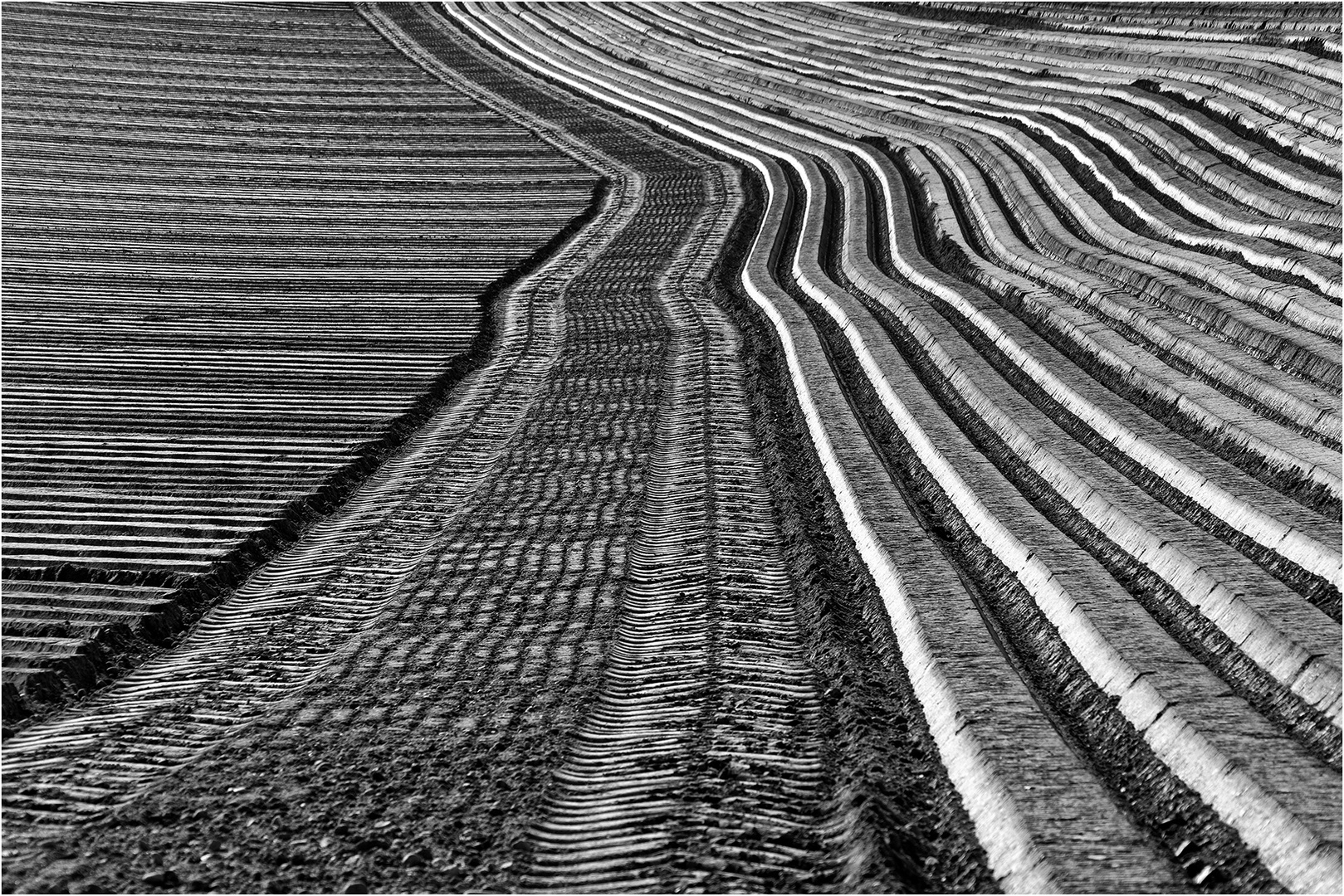 Ackerland Foto & Bild sw, natur, landschaft Bilder auf