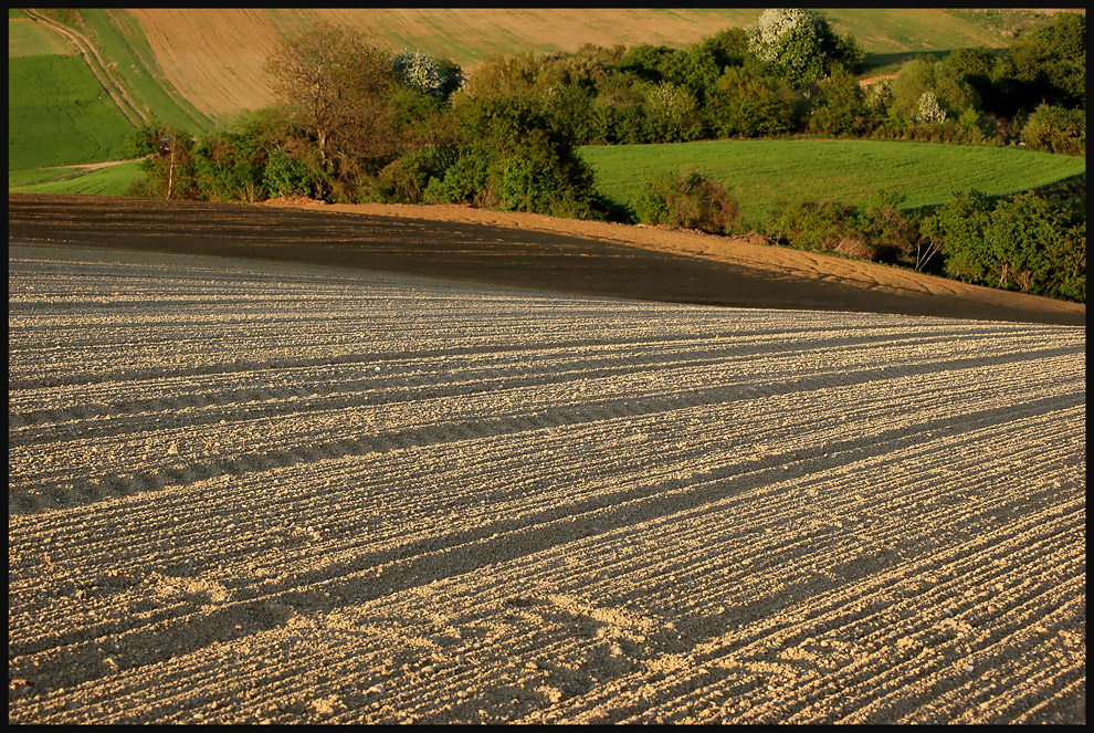 Ackerland Foto & Bild europe, Österreich, niederösterreich Bilder auf