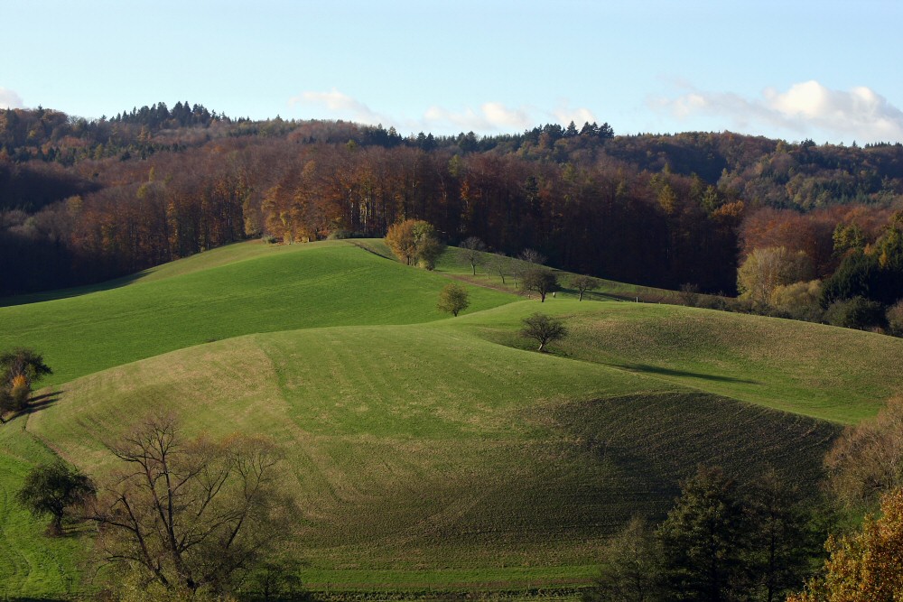 Ackerland bei Nieder Liebersbach /ODW