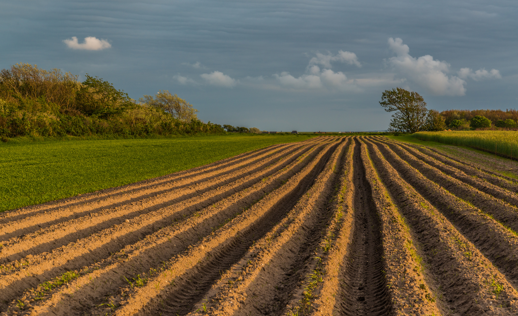 Ackerland Foto And Bild Landschaft Äcker Felder And Wiesen Frühling