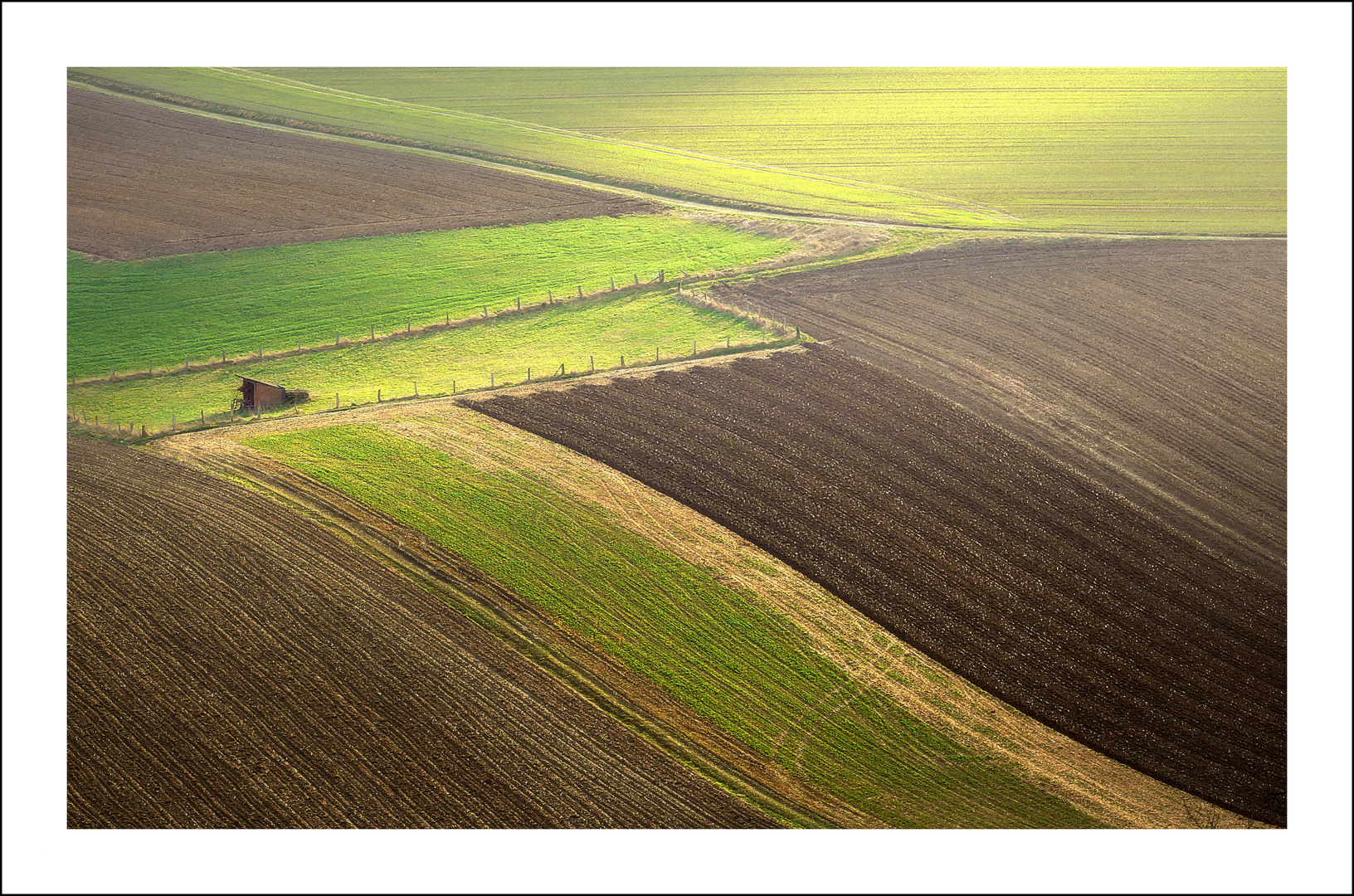 Ackerland im Abendlicht