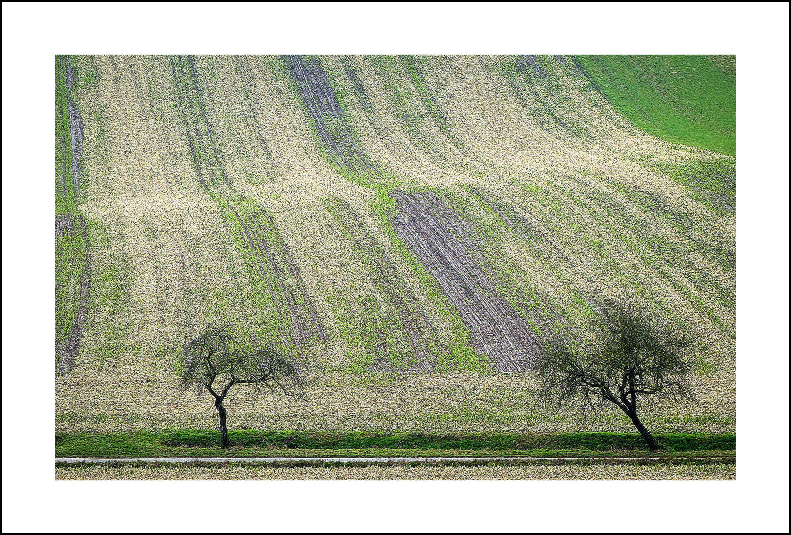 Ackerland im Februar