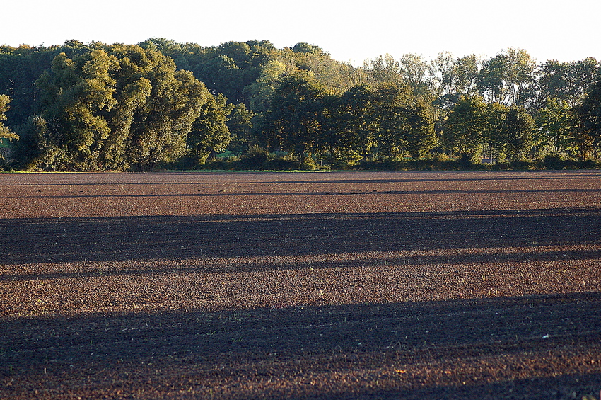 Ackerland im Herbst...