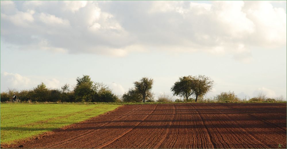 Ackerland im Herbst