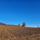 Ackerland im Vorfrühling