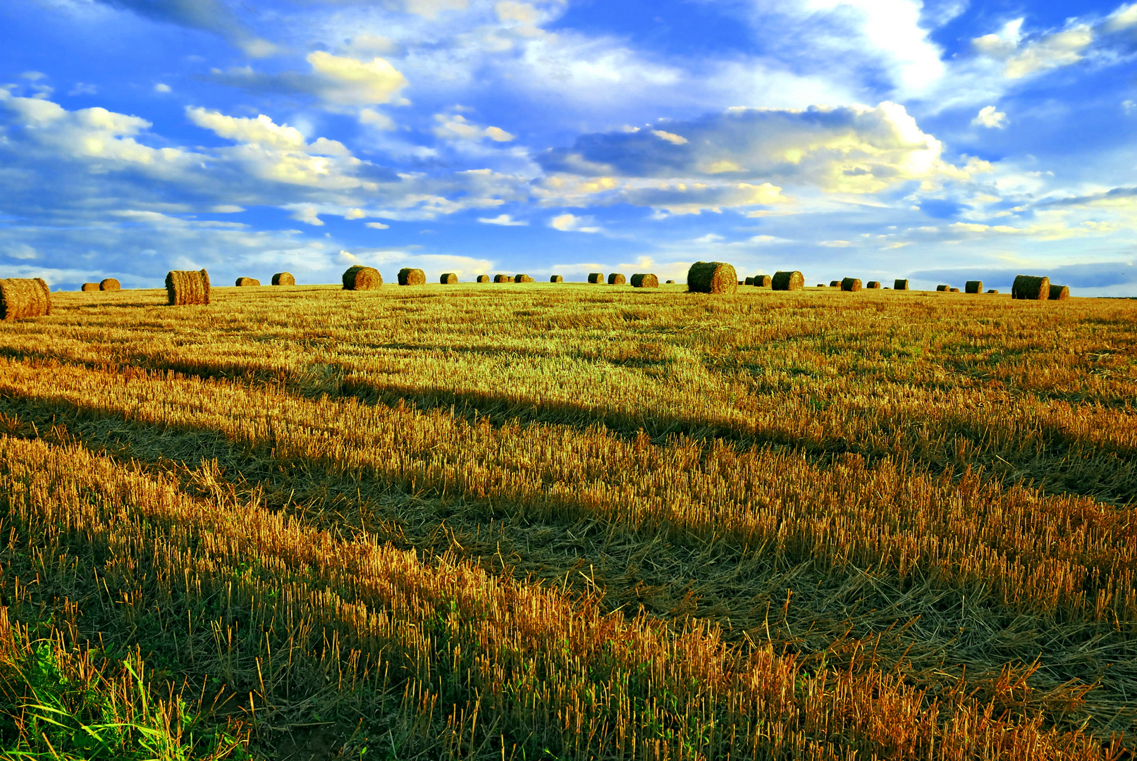 Ackerlandschaft