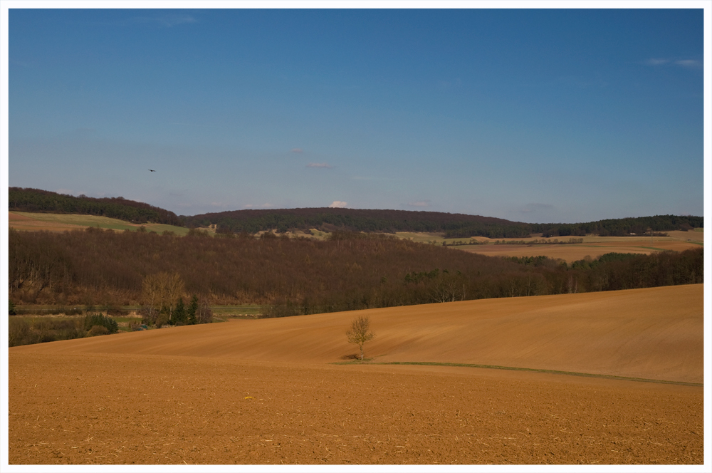 Ackerlandschaft in Frühjahrsonne