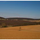 Ackerlandschaft in Frühjahrsonne