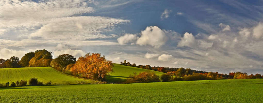 Ackerlandschaft in Schleswig Holstein...