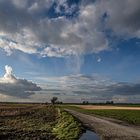 Ackerlandschaft mit bewölktem Himmel