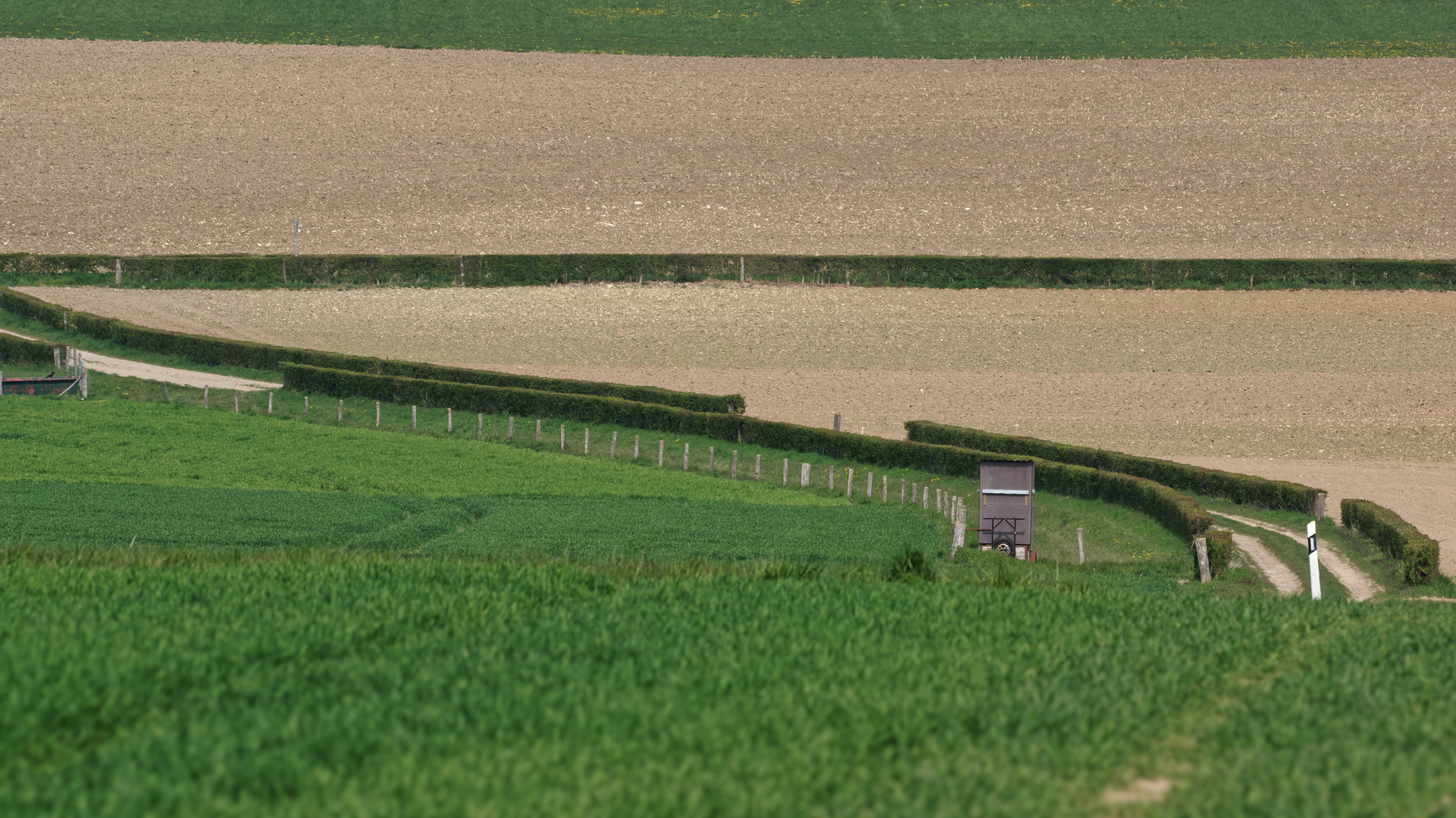 Ackerlandschaft mit Schwung