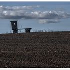 Ackerlandschaft mit Wolke