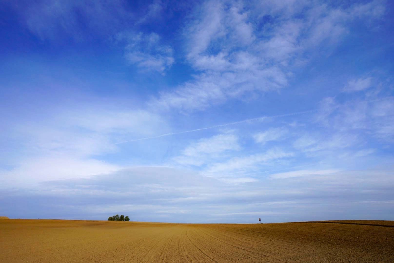 Ackerlandweitsicht 