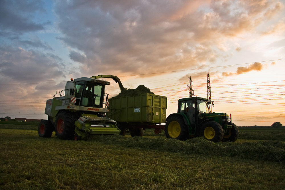 Ackern im Sonnenuntergang