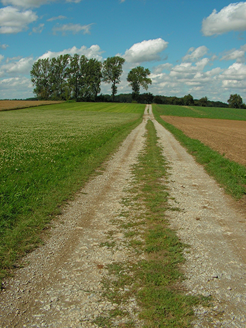 Ackerweg